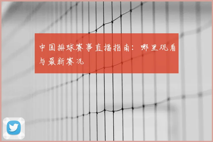 中国排球赛事直播指南:哪里观看与最新赛况