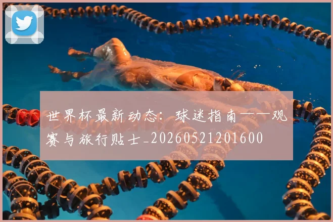 世界杯最新动态:球迷指南——观赛与旅行贴士_20260521201600